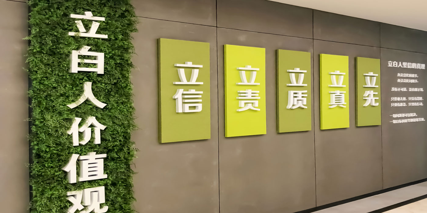 企業(yè)文化項(xiàng)目